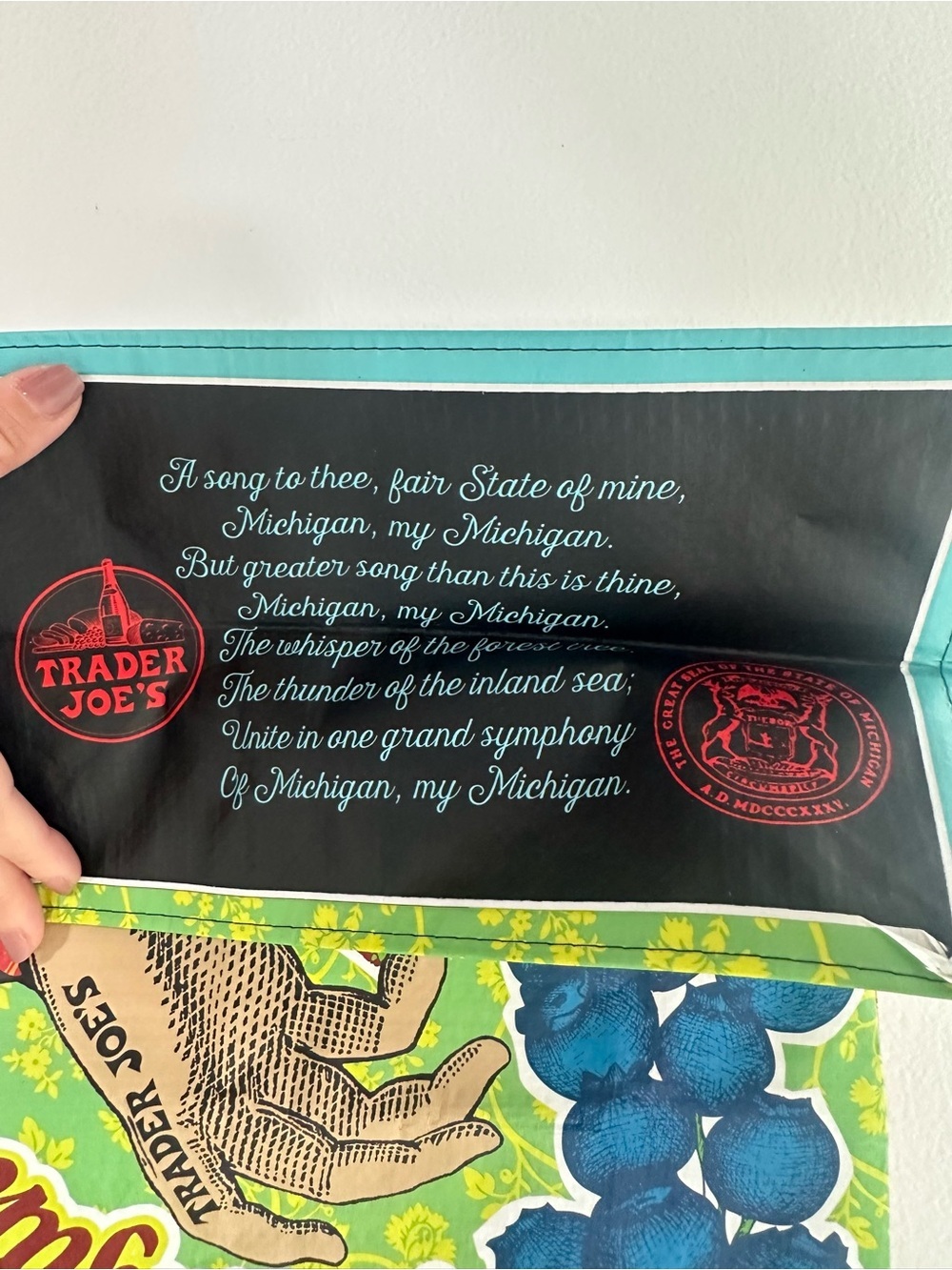 Trader Joe’s Michigan Reusable Tote Bag NWT Grocery Bag Route 23 Cherries - Picture 5 of 5